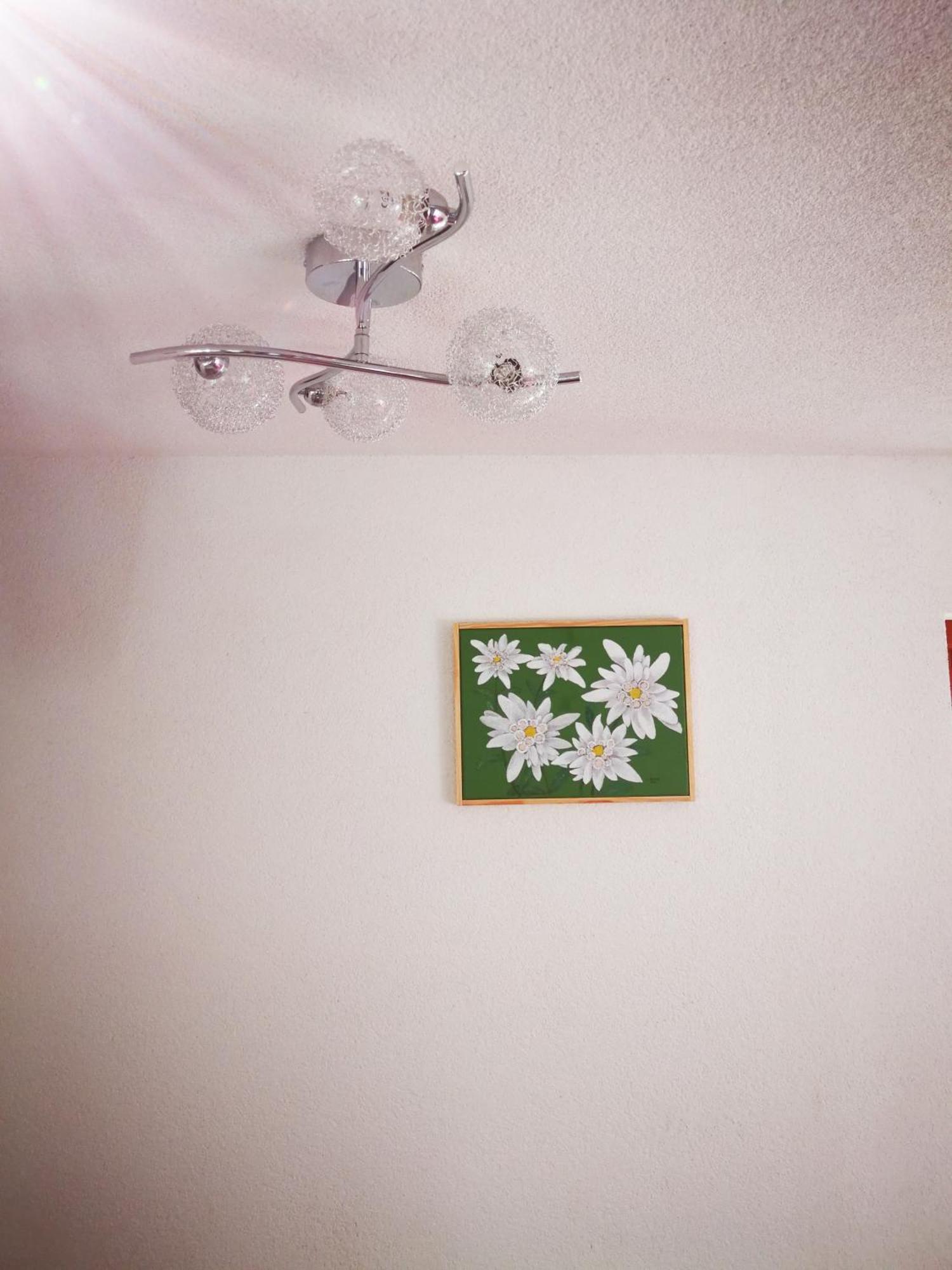 Ekoturizem Vizencar Hotel Cerklje na Gorenjskem Bagian luar foto