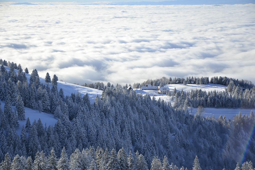 Ekoturizem Vizencar Hotel Cerklje na Gorenjskem Bagian luar foto